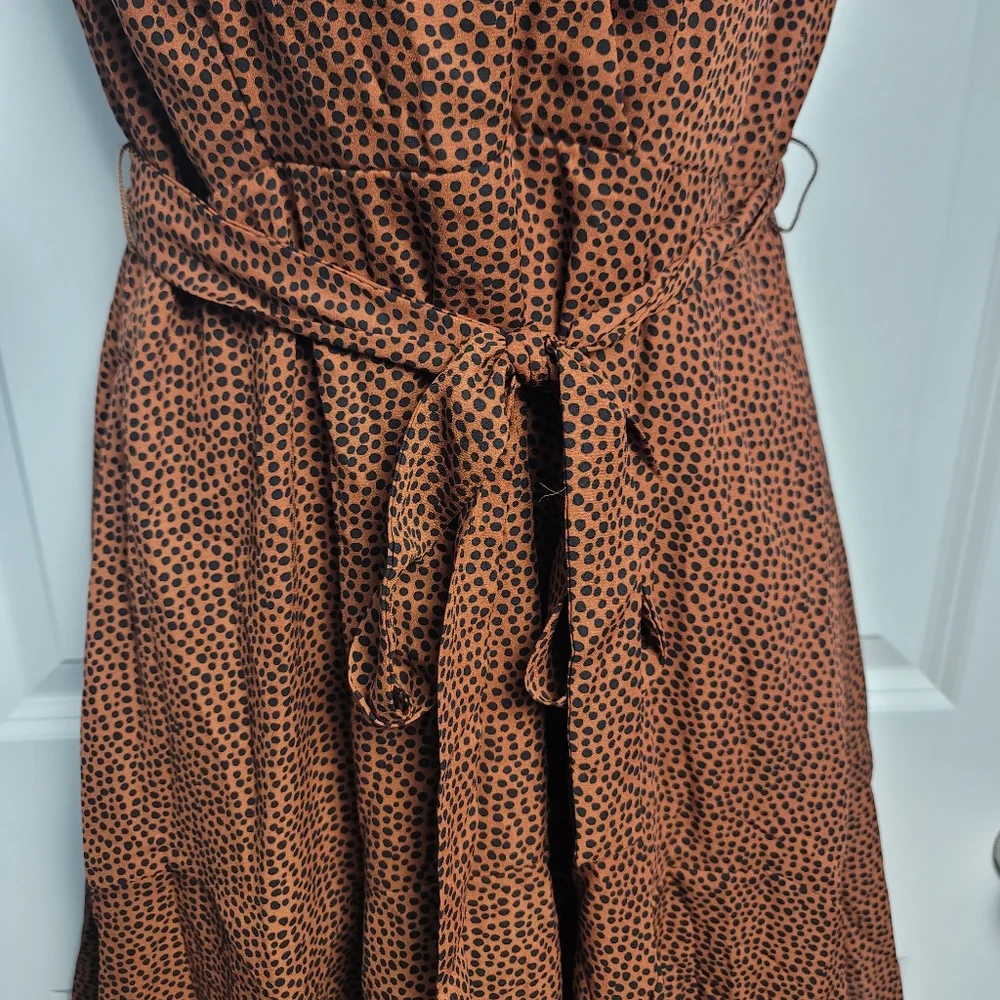 NWT - Blue Rain from Francesca's Leopard Dress - Picture 2 of 13